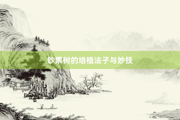 钞票树的培植法子与妙技