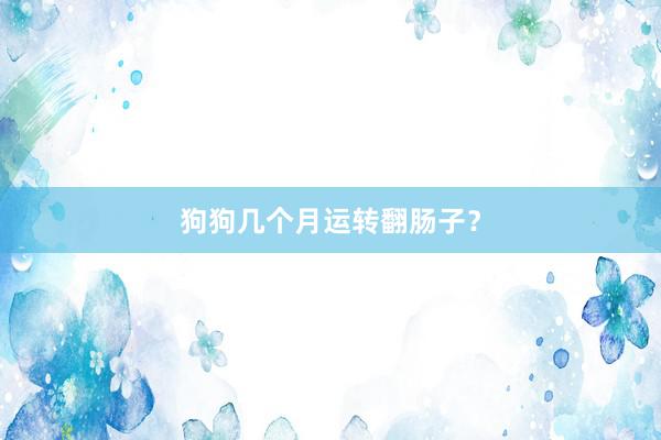 狗狗几个月运转翻肠子？