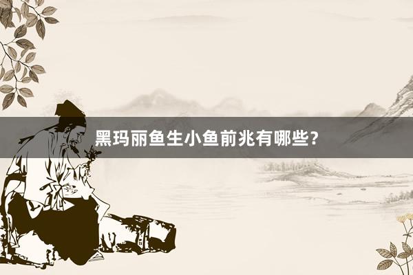 黑玛丽鱼生小鱼前兆有哪些？